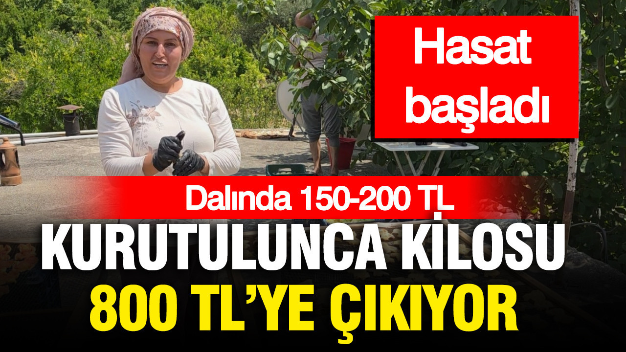 haber-gorseli-1786463544656